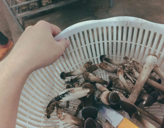 Những thói quen tồi tệ nhất gây ra mỡ bụng