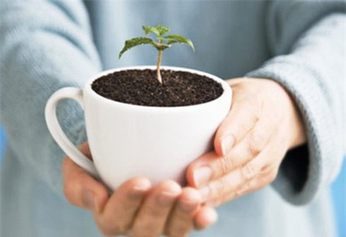 công dụng bã cà phê 5 tác dụng cực hay từ bã cà phê