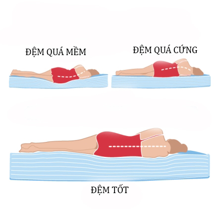 đau lưng có nên nằm nệm Nên biết bị đau lưng có nên nằm nệm không? Loại nào tốt nhất
