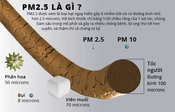 Bụi mịn là gì? PM2.5 là gì? Những tác hại khi hít phải bụi siêu mịn trong không khí bạn cần biết