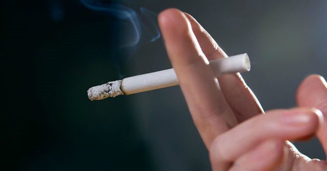 Đồ ăn càng sử dụng càng khiến não bị bào mòn