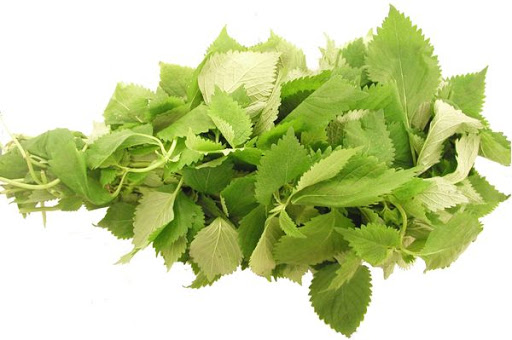 Những nguyên liệu đại kỵ khi nấu cơm